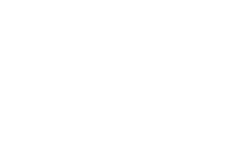 Black Pilgrimage